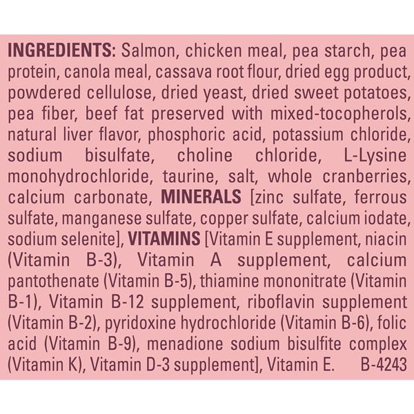 purina beyond indoor