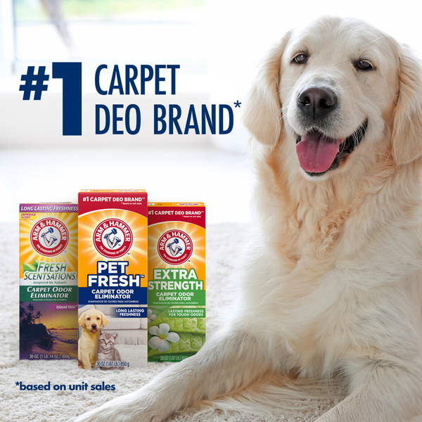 ARM & HAMMER Carpet Odor Eliminator, Extra Strength, 30 oz. | Hy