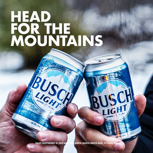 Busch Light Beer 30 - 12 fl oz Cans | Hy-Vee Aisles Online Grocery